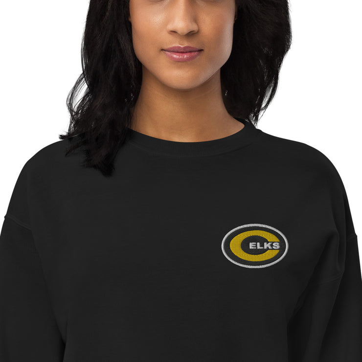 CHS Unisex fleece sweatshirt